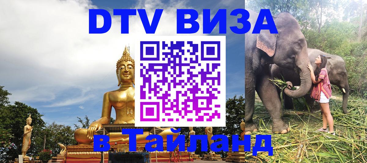 Сколько стоит DTV виза — актуальные цены, оформление даже без документов - Новый Уренгой  04.10.2025 
